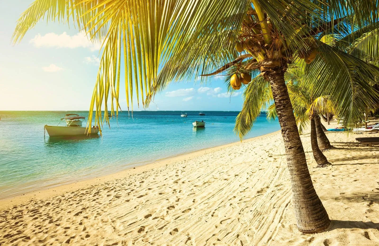 Introduction Mauritius