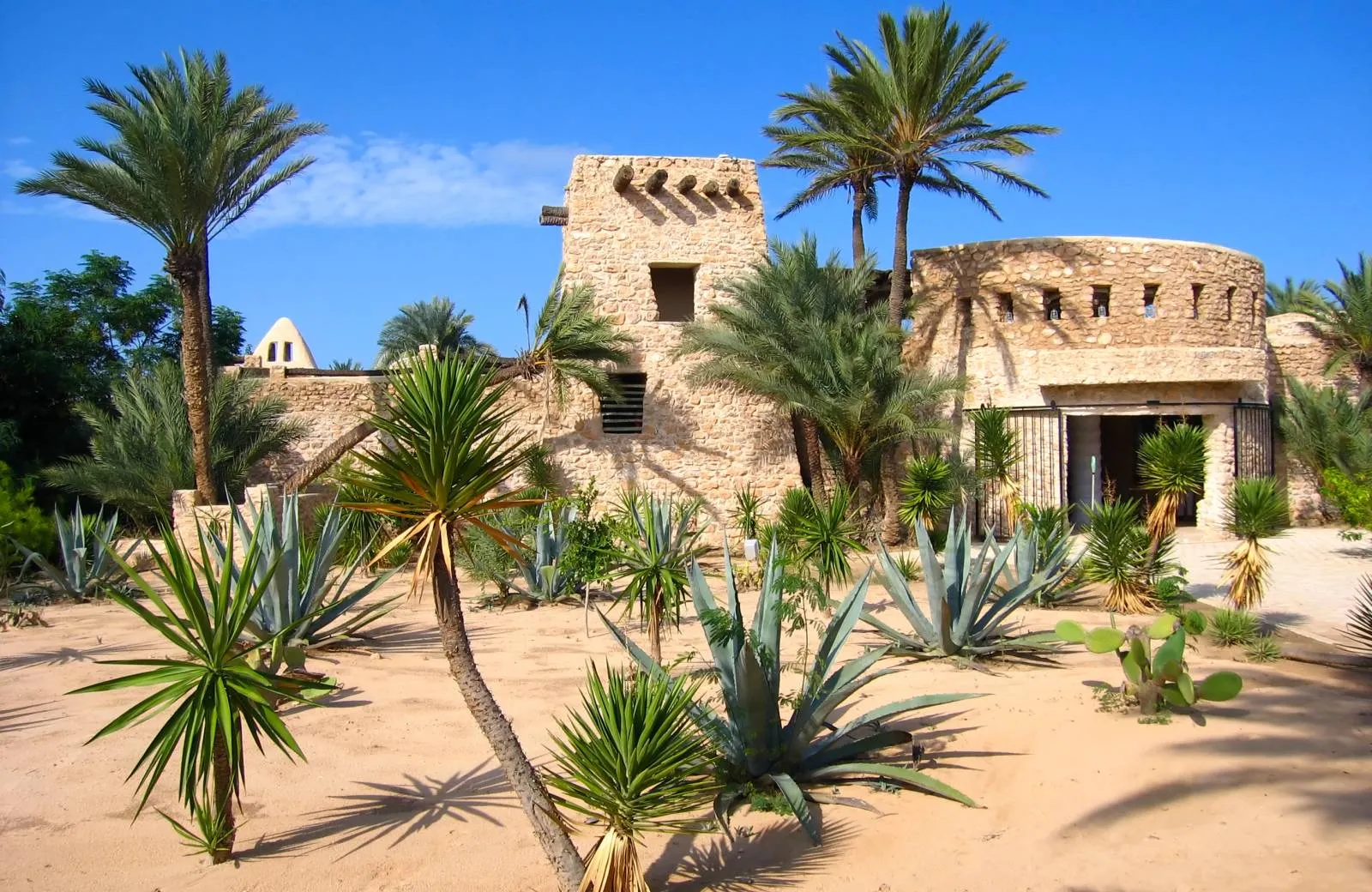 Aktivity a atrakce Tunisko