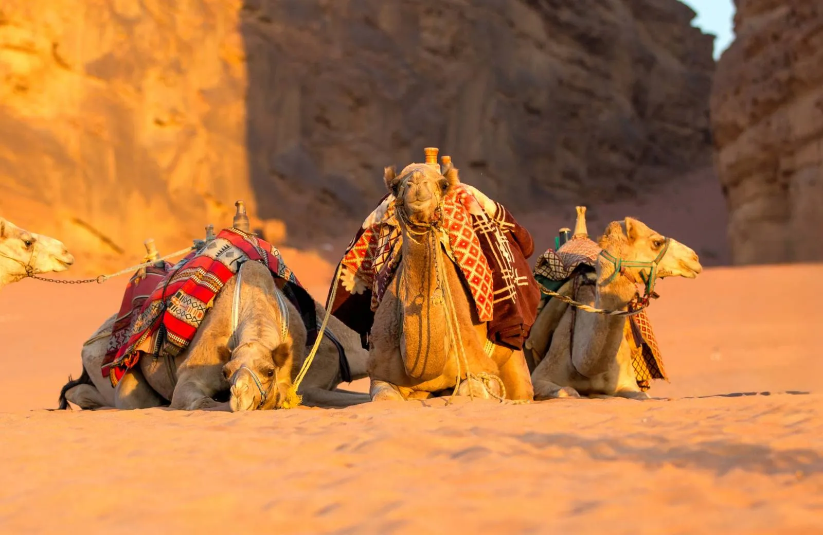 Aktivity a atrakcie Egypt