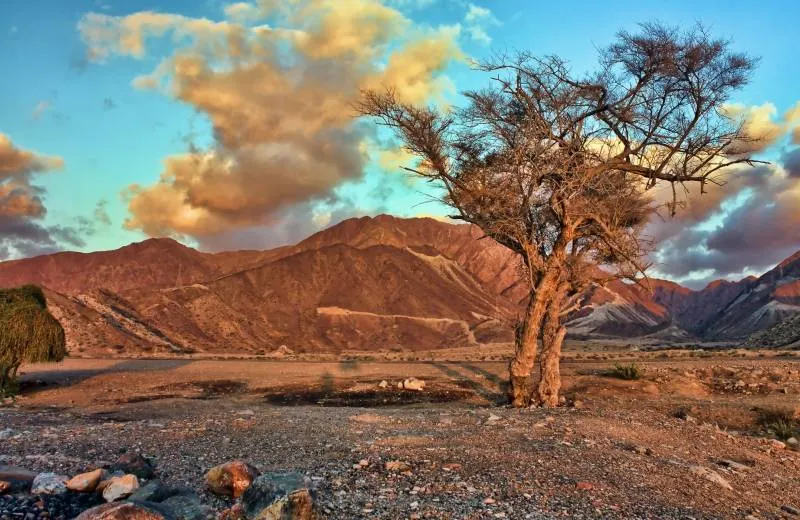 Introduction Fujairah