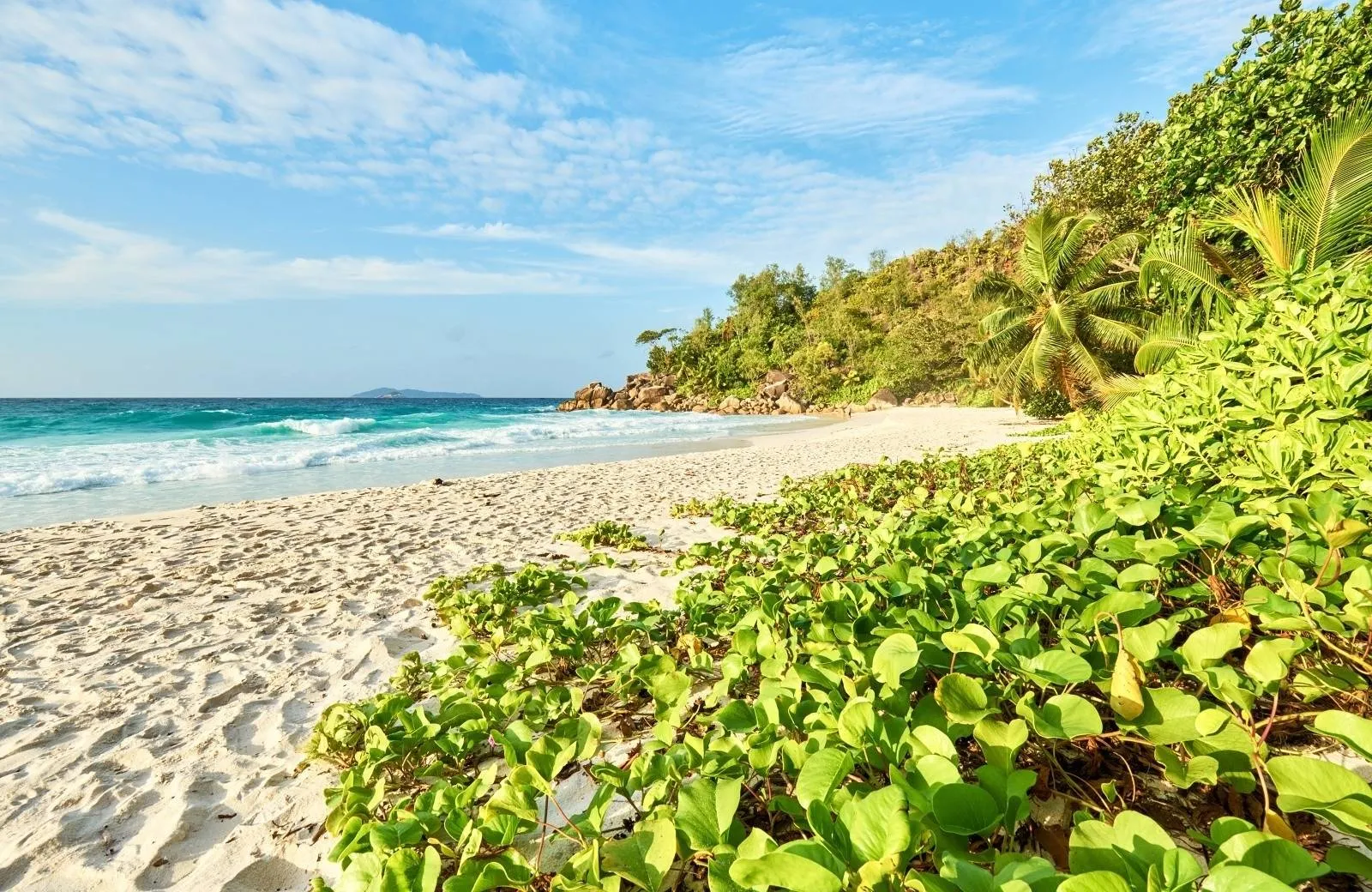 Víza a povinnosti Seychely