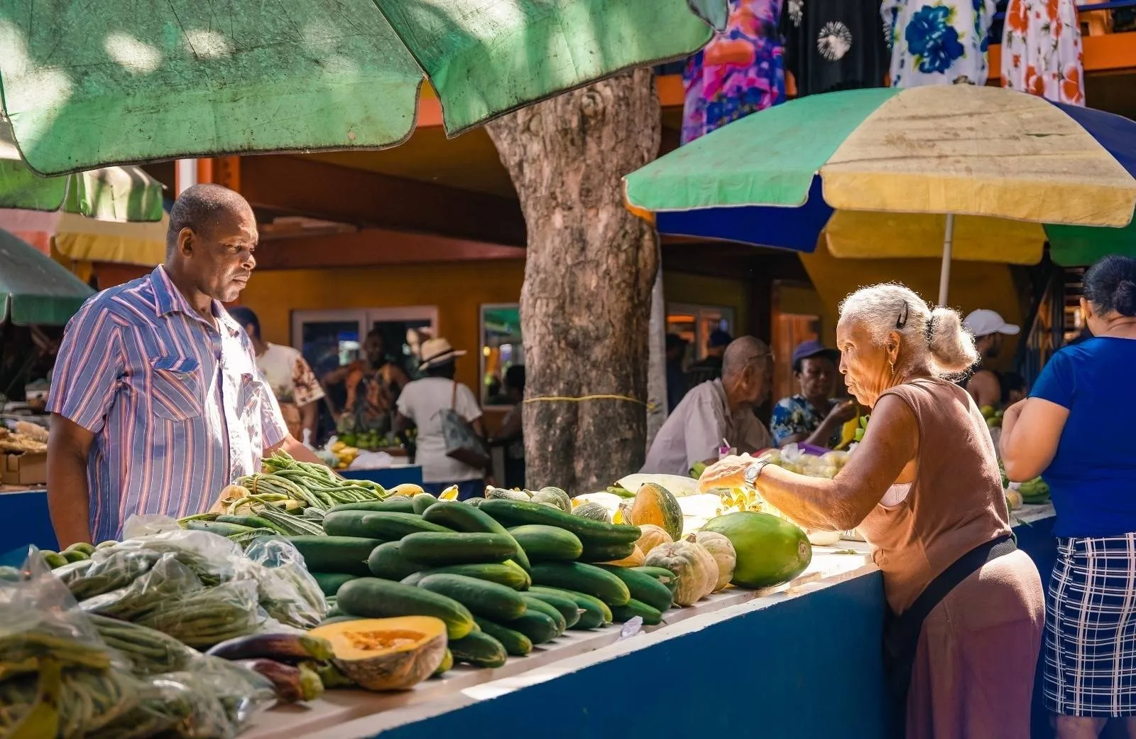 Stravování Seychely