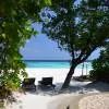 Coco Palm Dhuni Kolhu 5*