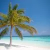 Coco Palm Dhuni Kolhu 5*