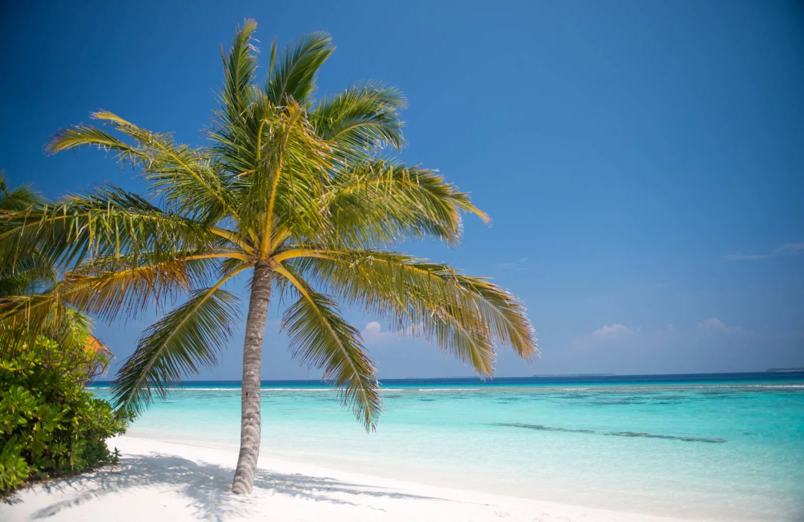 Coco Palm Dhuni Kolhu 5*