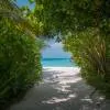 Coco Palm Dhuni Kolhu 5*