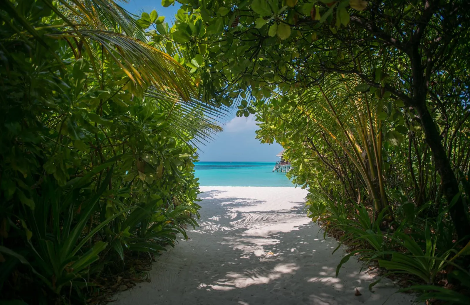 Coco Palm Dhuni Kolhu 5*
