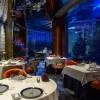 Burj Al Arab 5*