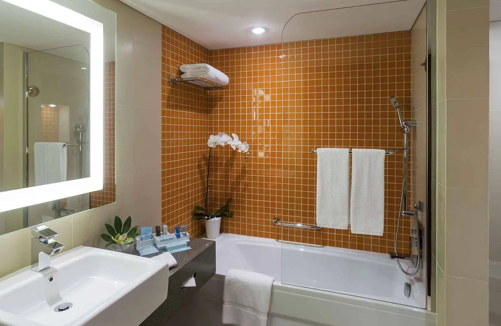 Novotel Dubai Al Barsha 4*