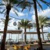 Occidental Sharjah Grand 4*
