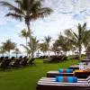 JA Palm Tree Court 5*