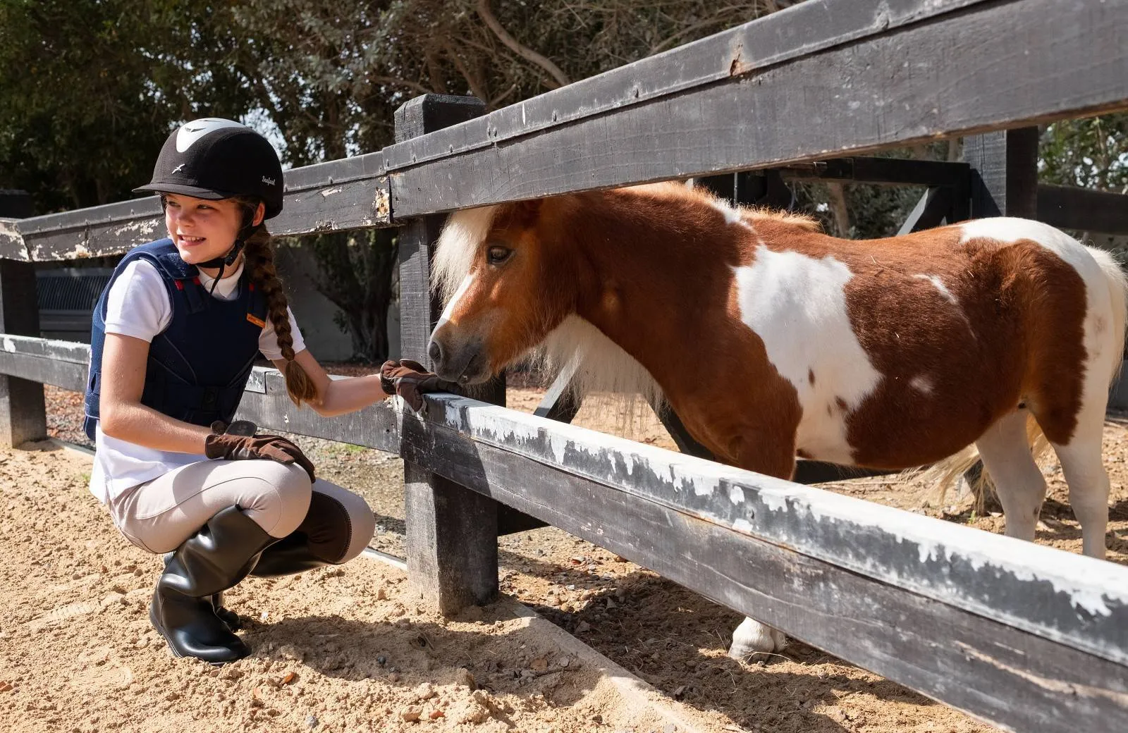 JA Palm Tree Court 5*