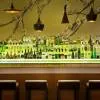 JA Palm Tree Court 5*