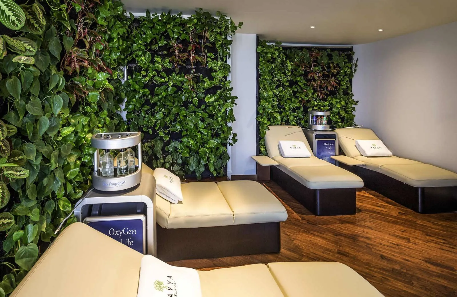 The Retreat Palm Dubai MGallery by Sofitel 5*