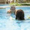 Saadiyat Rotana Resort & Villas - Abu Dhabi 5*