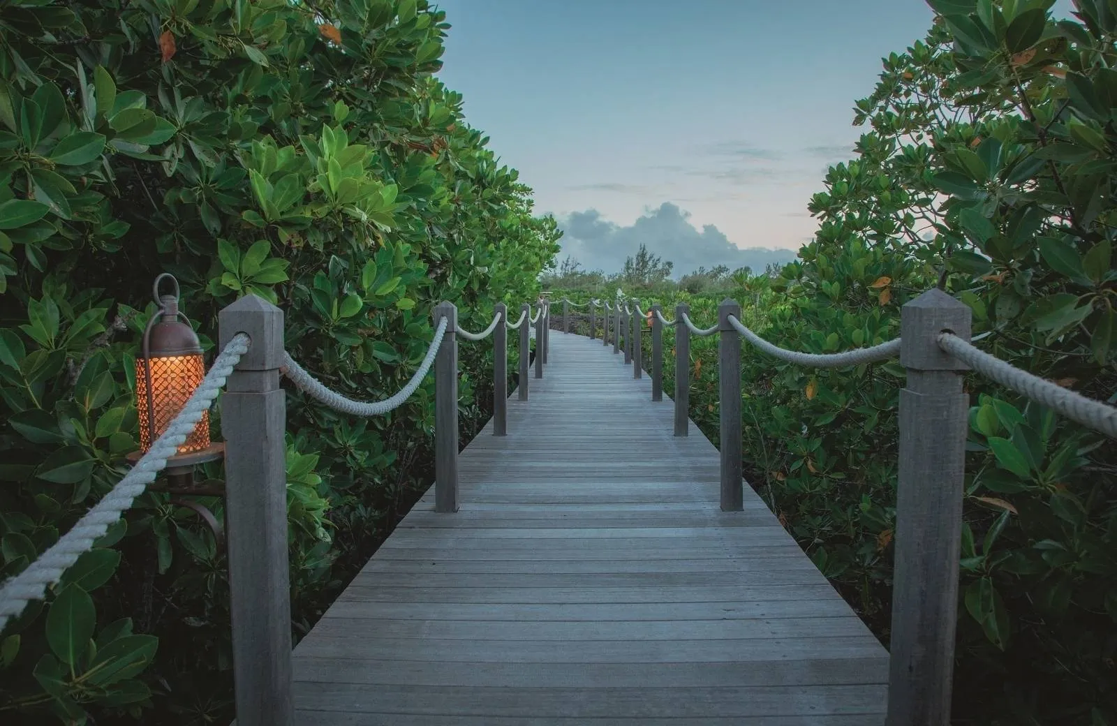 Constance Prince Maurice 5*