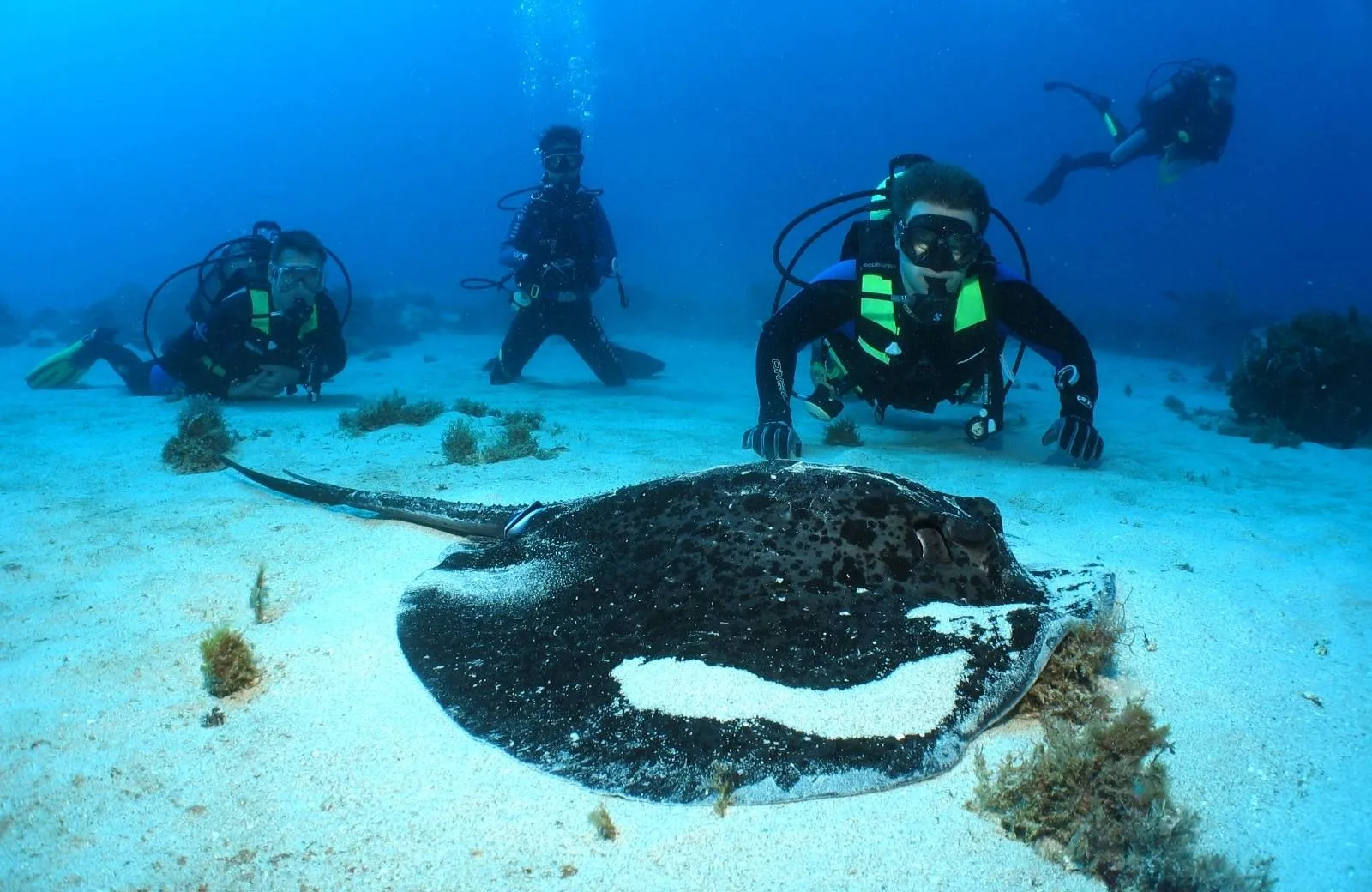 La Pirogue, A Sunlife Resort 4*