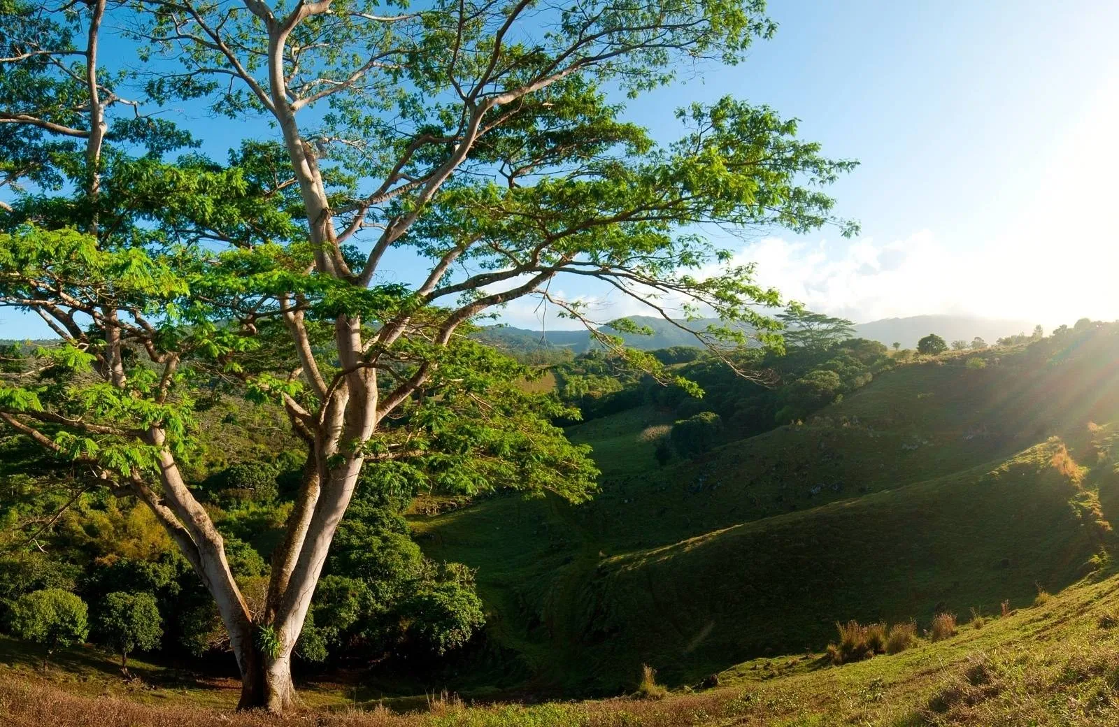 Heritage Awali Golf & Spa Resort 5*