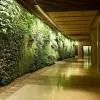 Sofitel Dubai The Palm Resort & Spa 5*