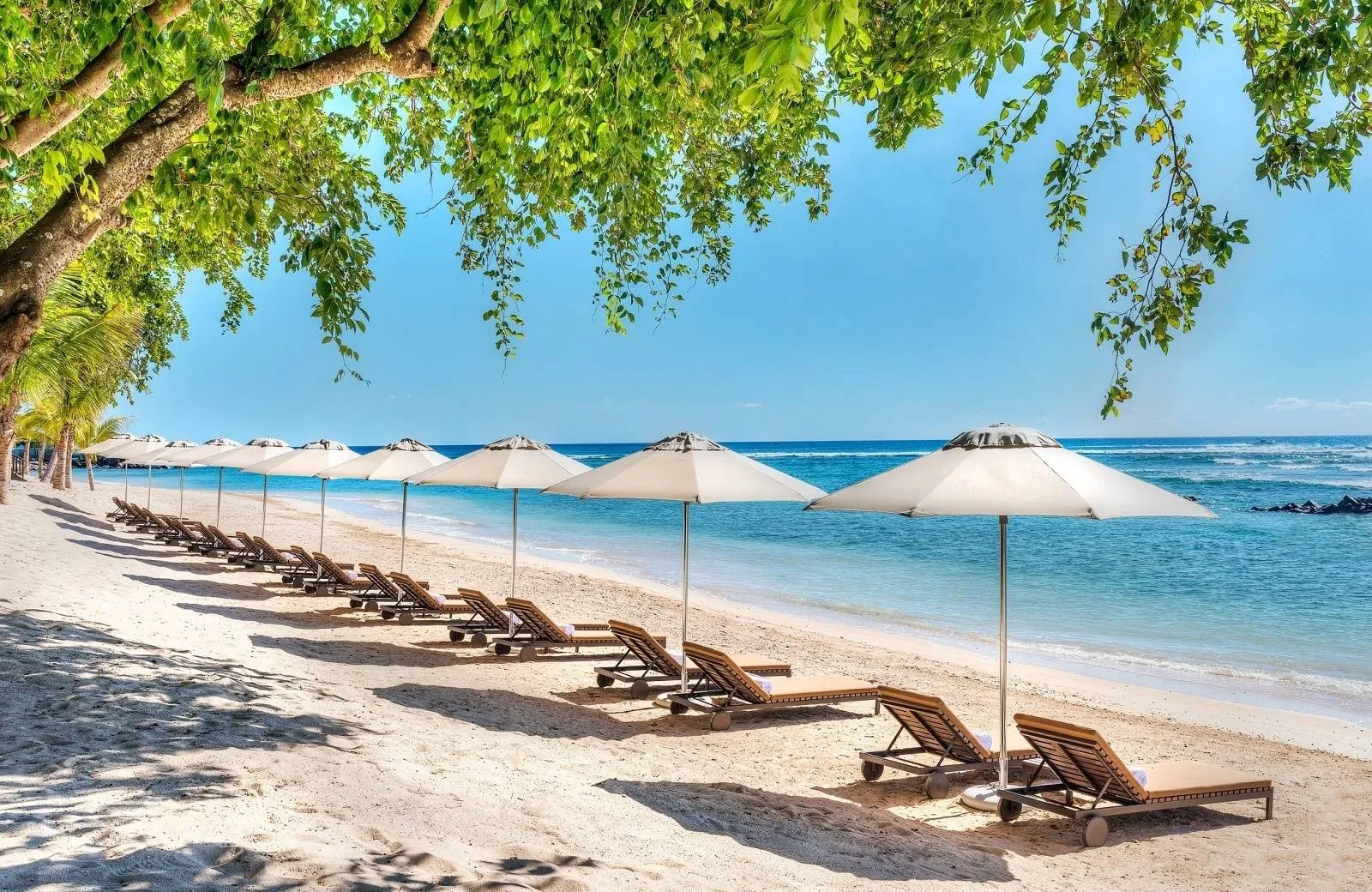 The Westin Turtle Bay Resort & Spa 5*