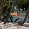 The Westin Turtle Bay Resort & Spa 5*