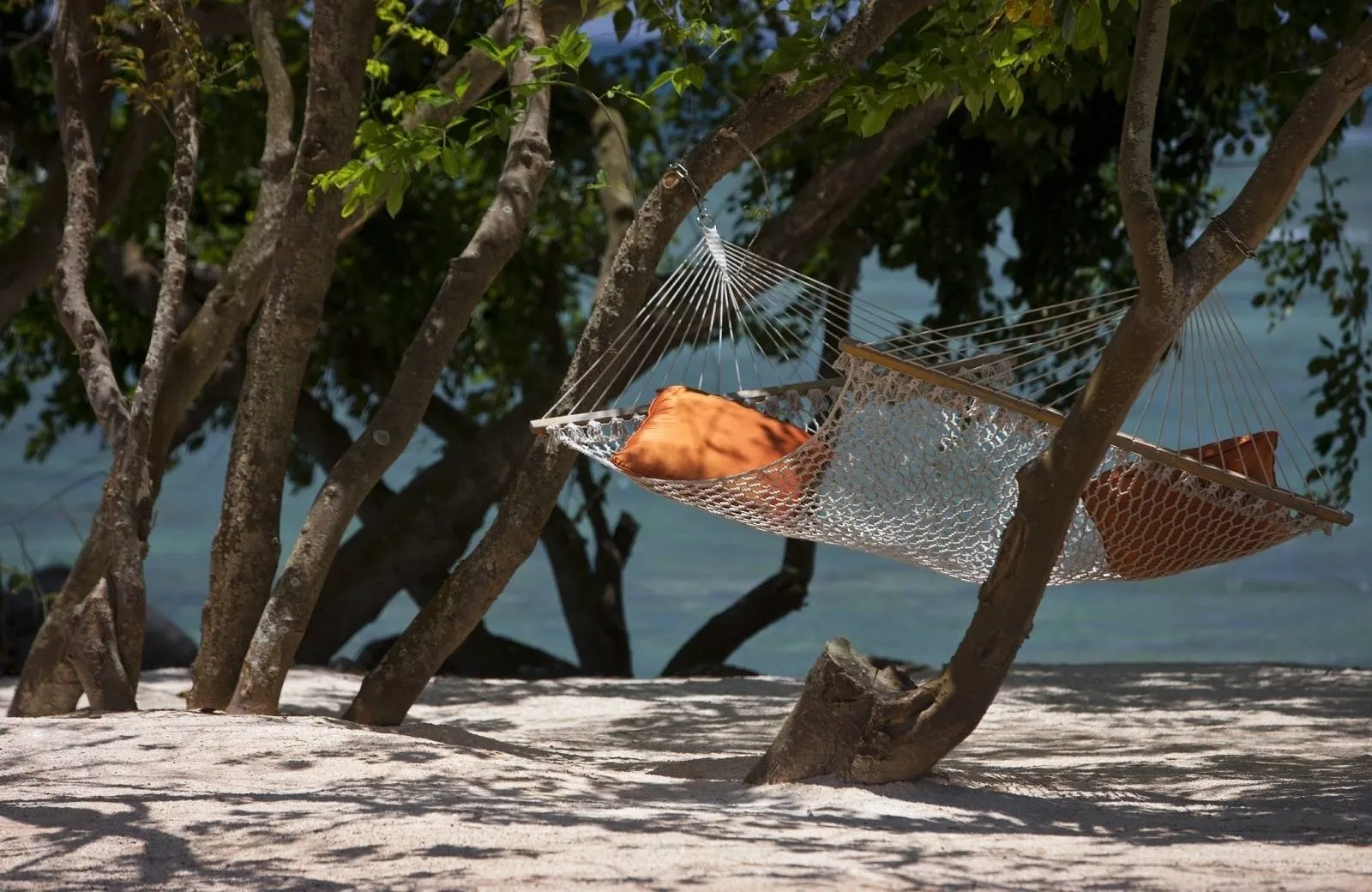 The Westin Turtle Bay Resort & Spa 5*