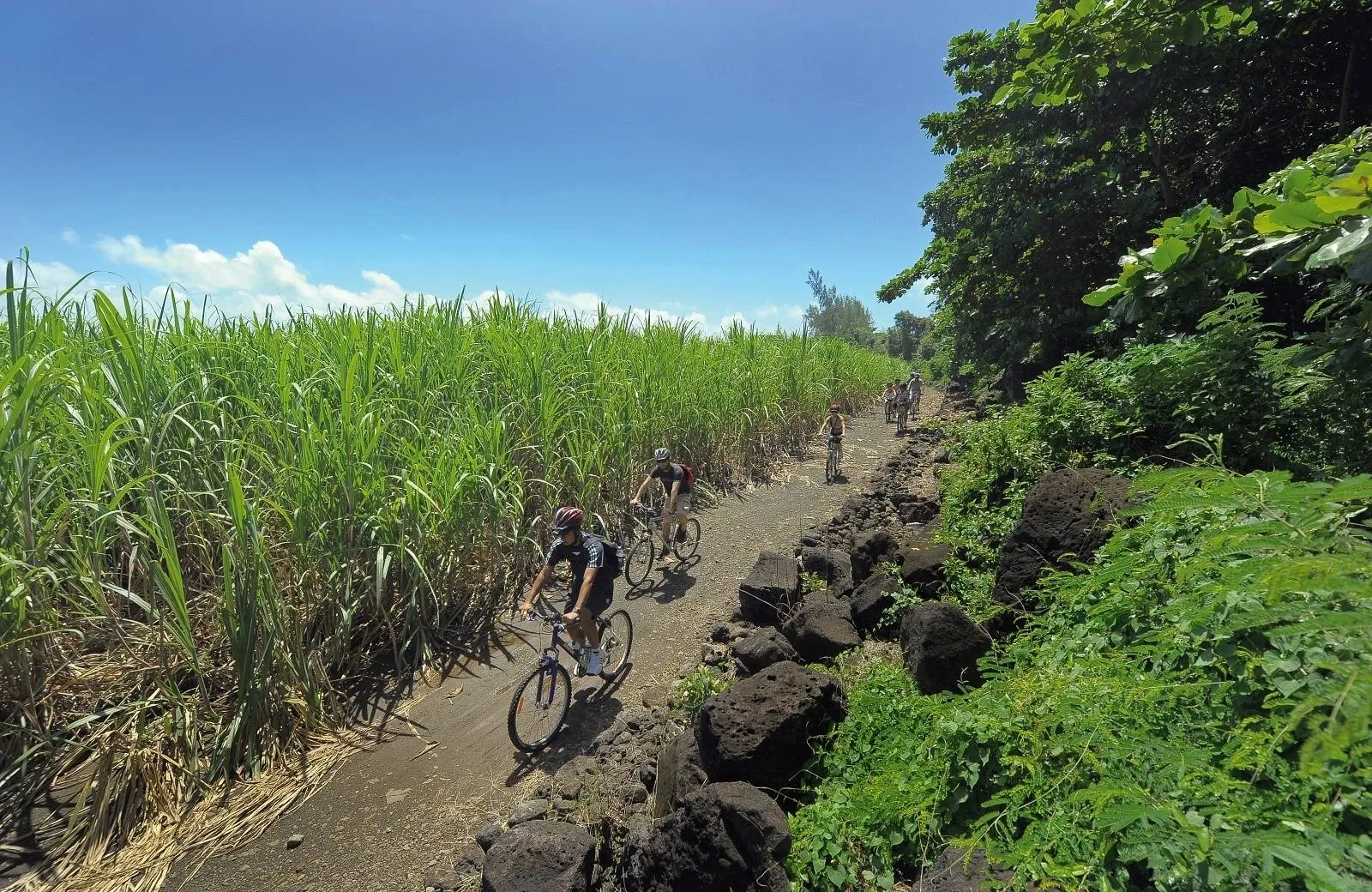 Shandrani Beachcomber Resort & Spa 4*