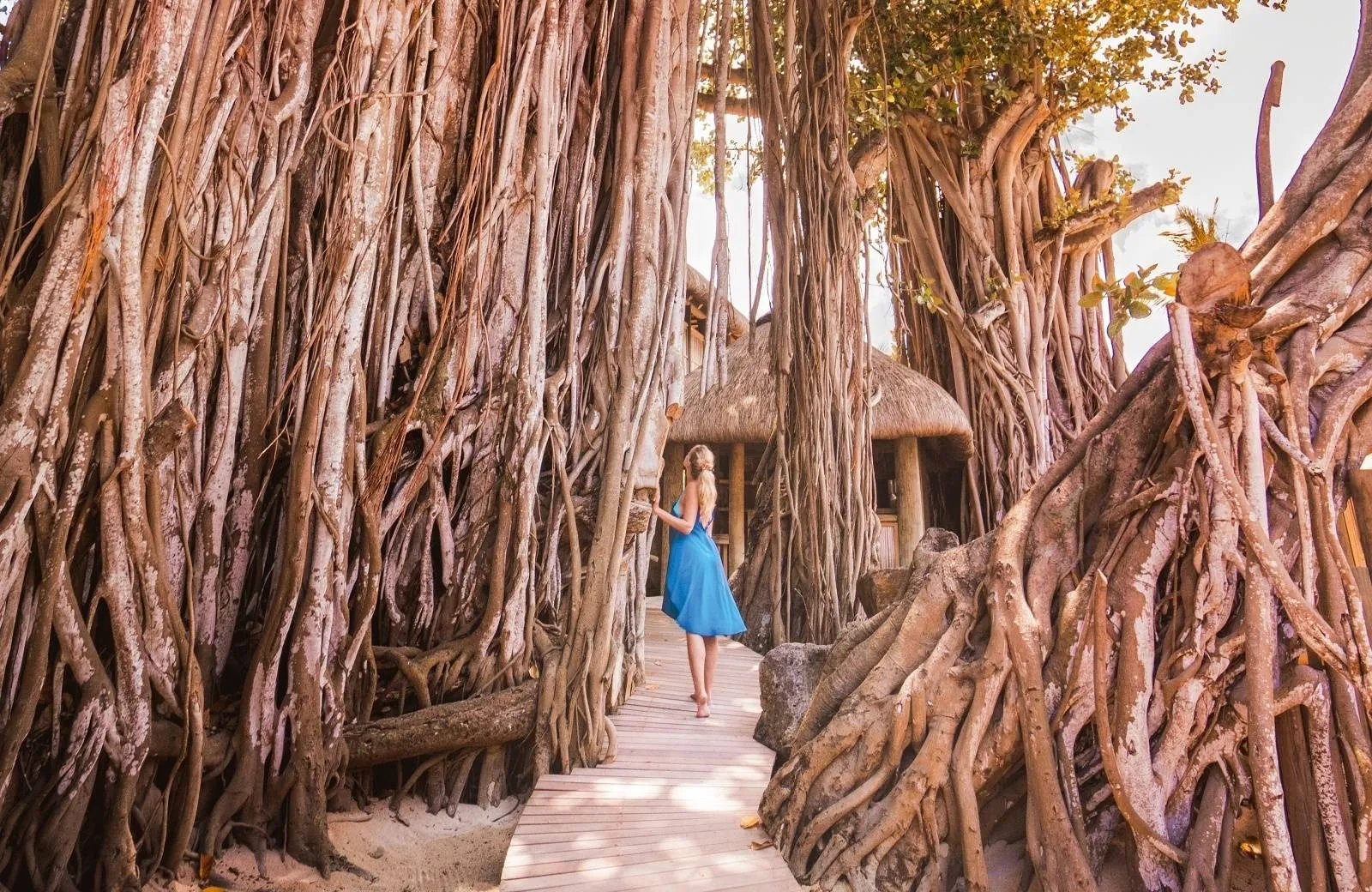 Canonnier Beachcomber Golf Resort & Spa 4*