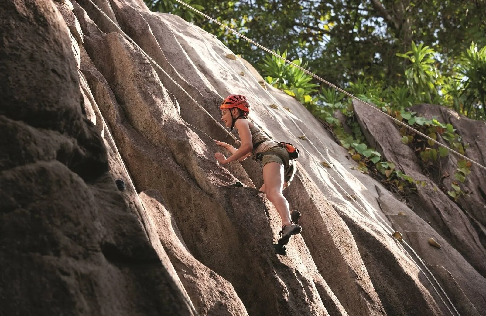 Constance Ephelia 5*