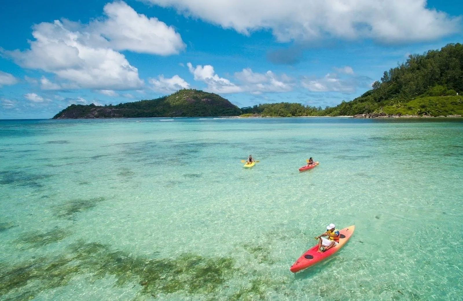 Constance Ephelia 5*