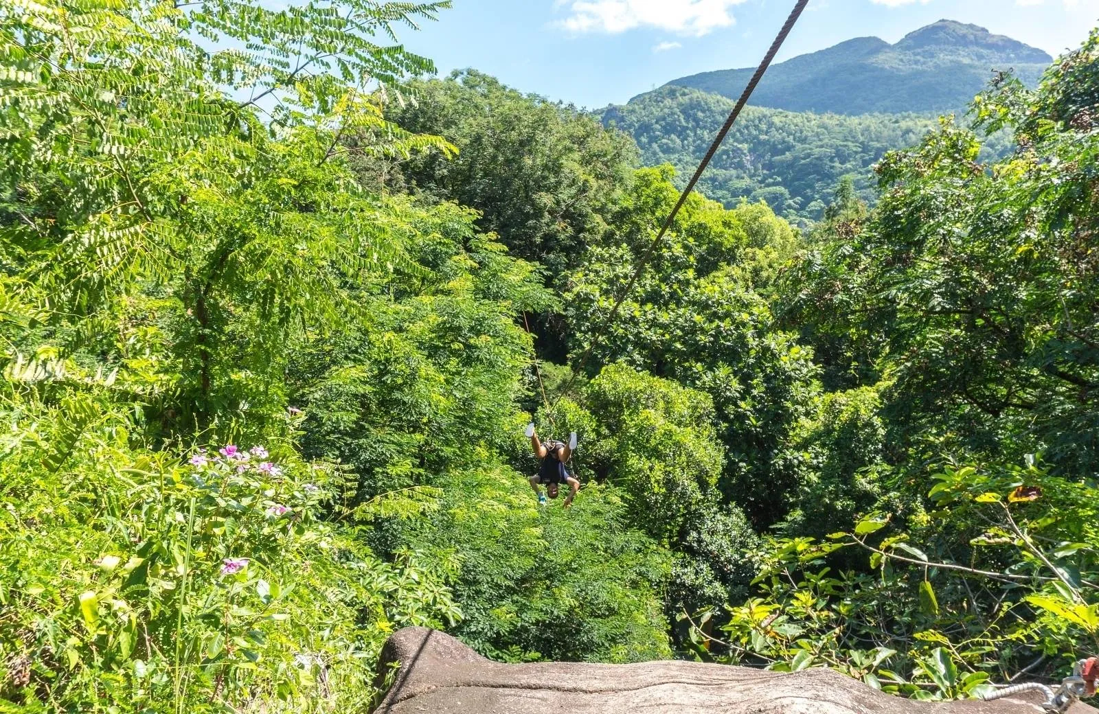 Constance Ephelia 5*