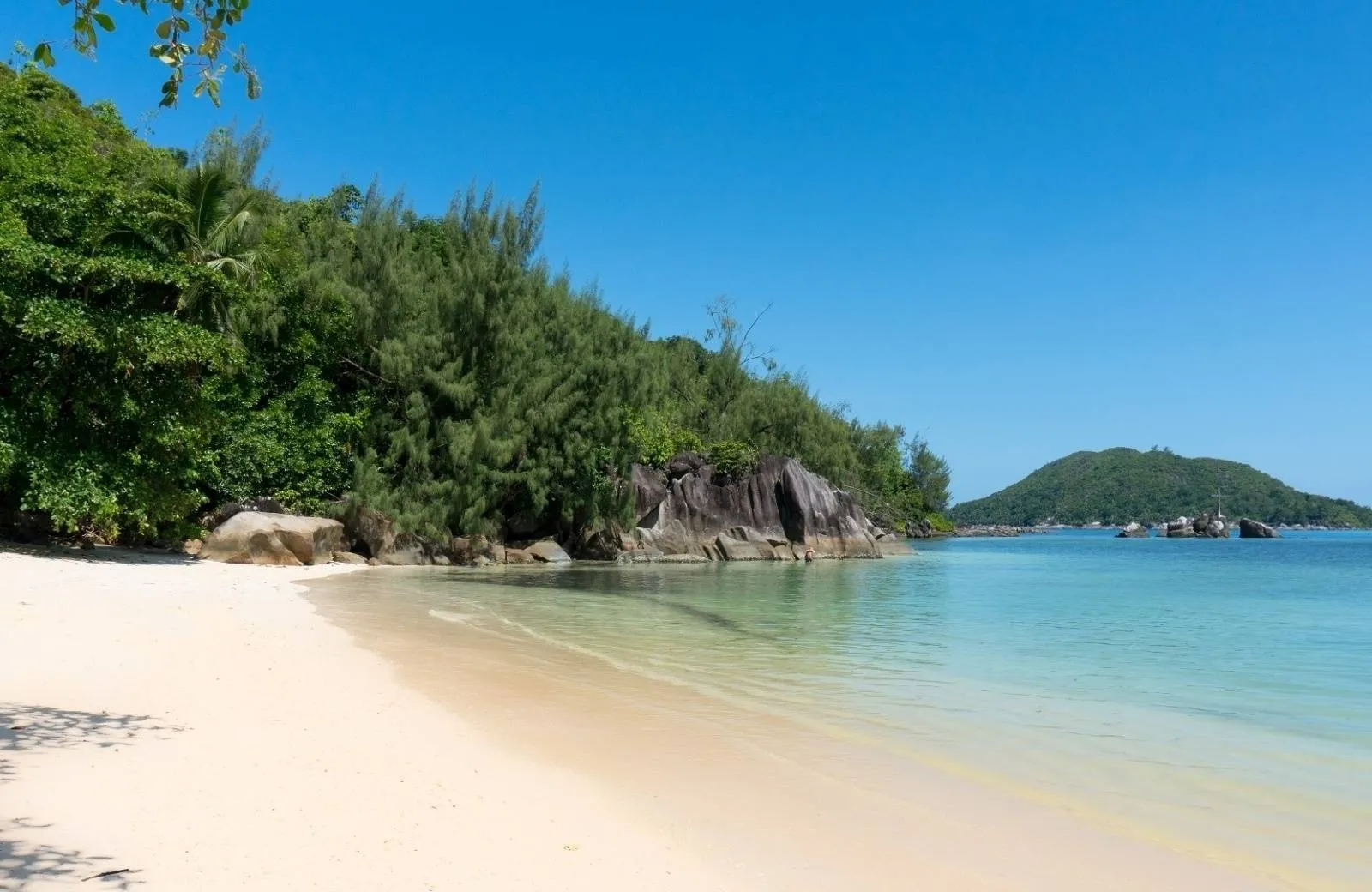 Constance Ephelia 5*