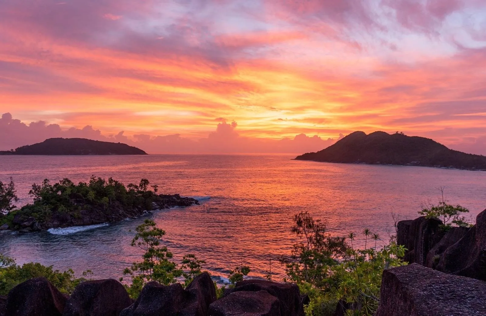 Constance Ephelia 5*