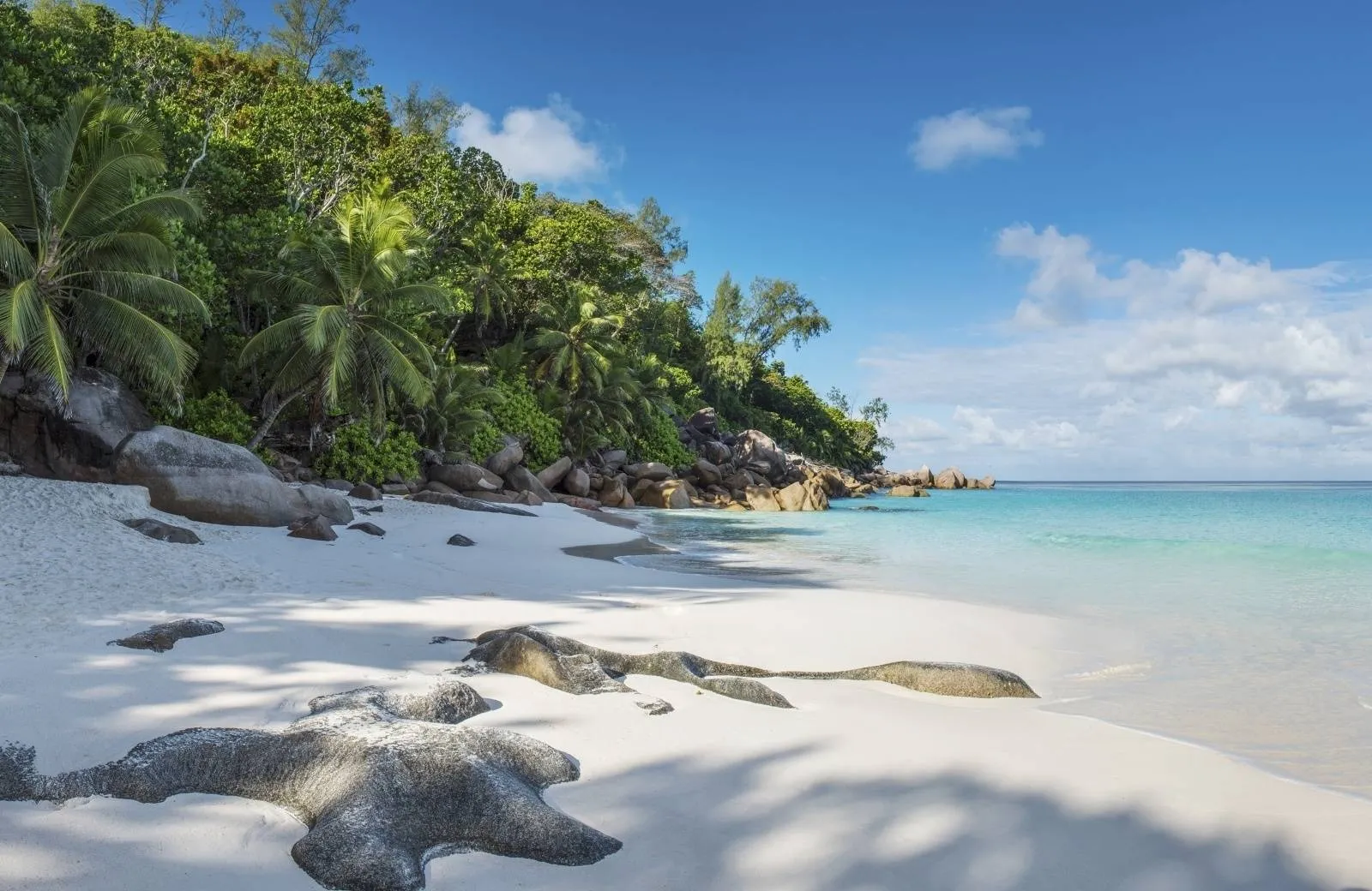 Constance Lemuria 5*