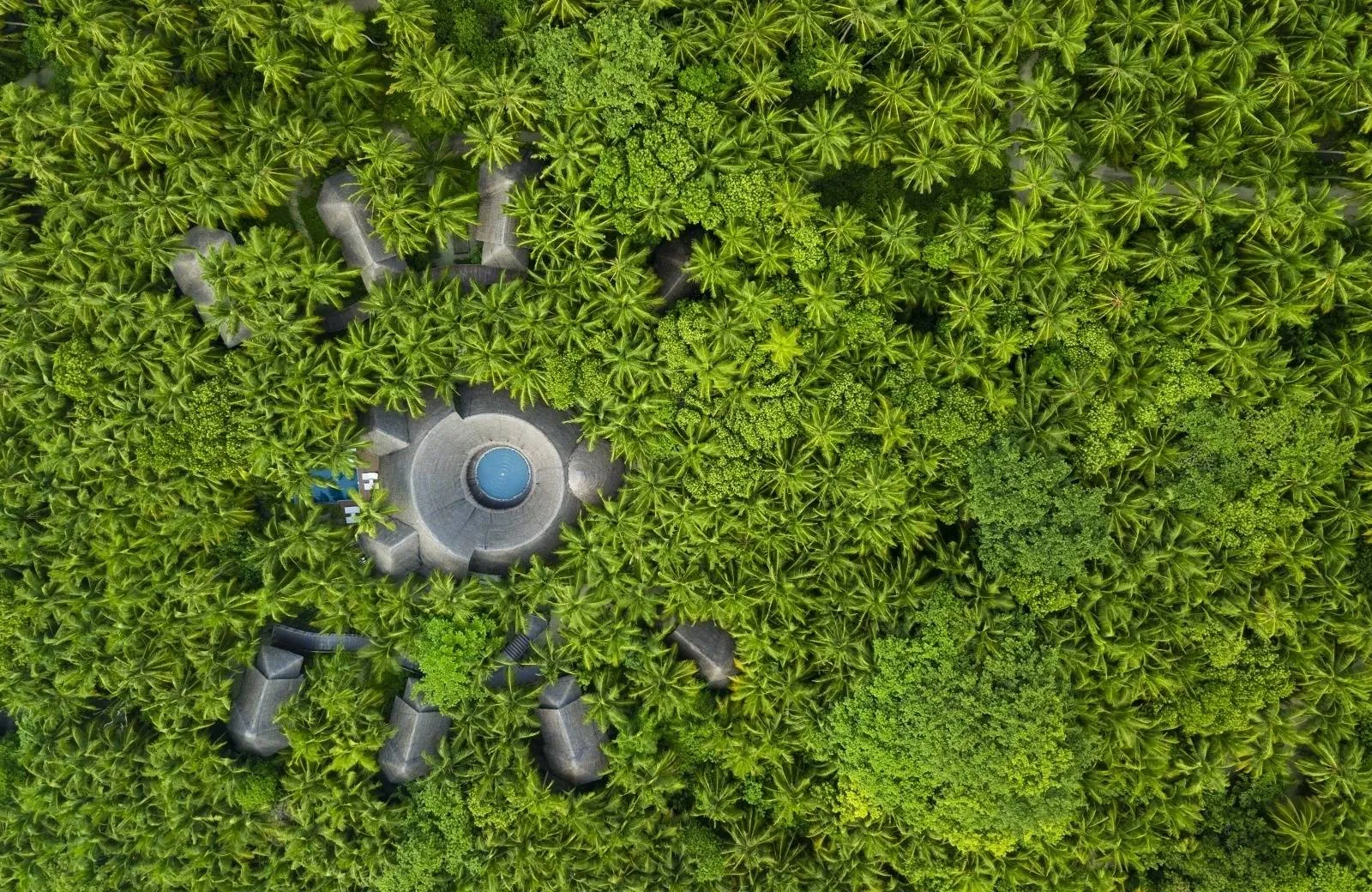 Dusit Thani Maldives 5*