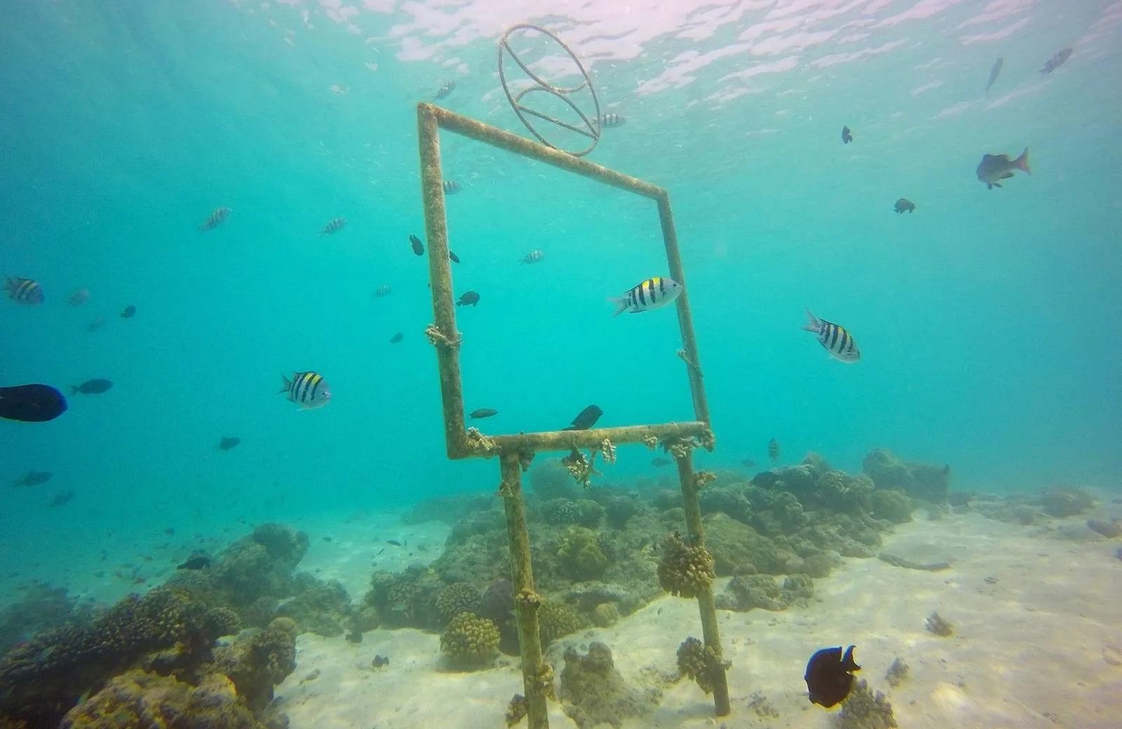 Constance Moofushi Maldives 5*