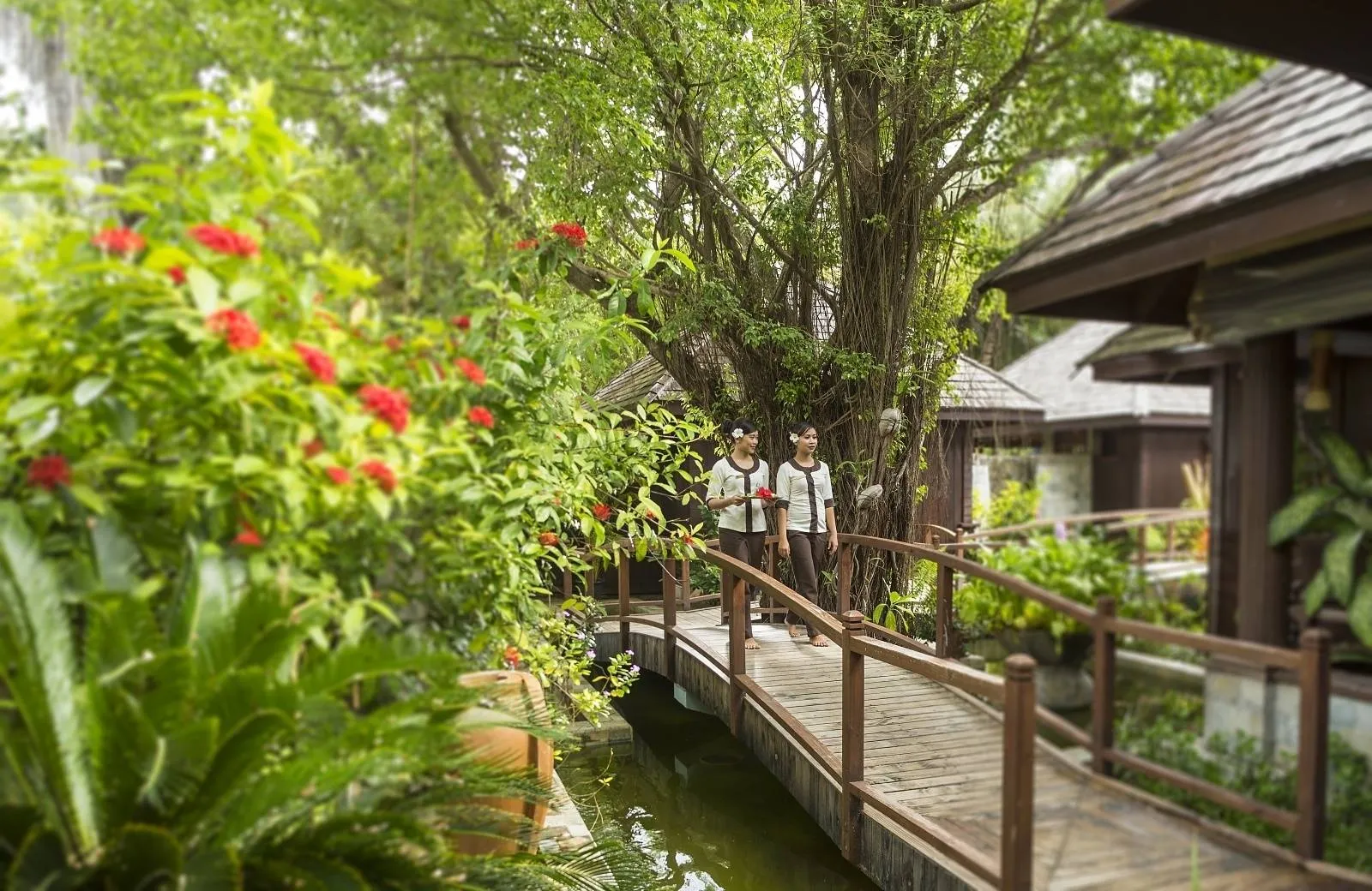 Sun Siyam Olhuveli 4*