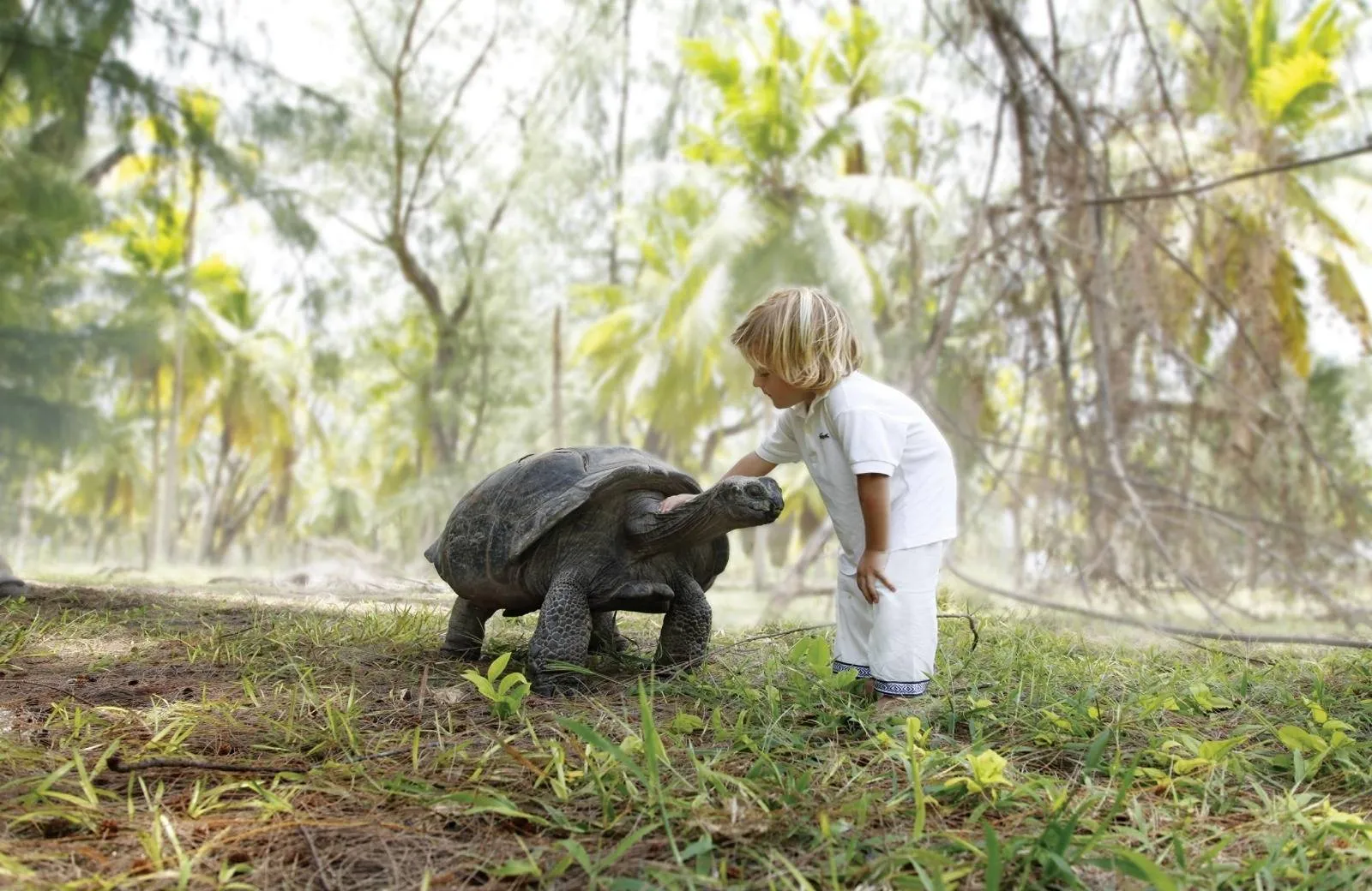 Four Seasons Resort Seychelles at Desroches Island 5*