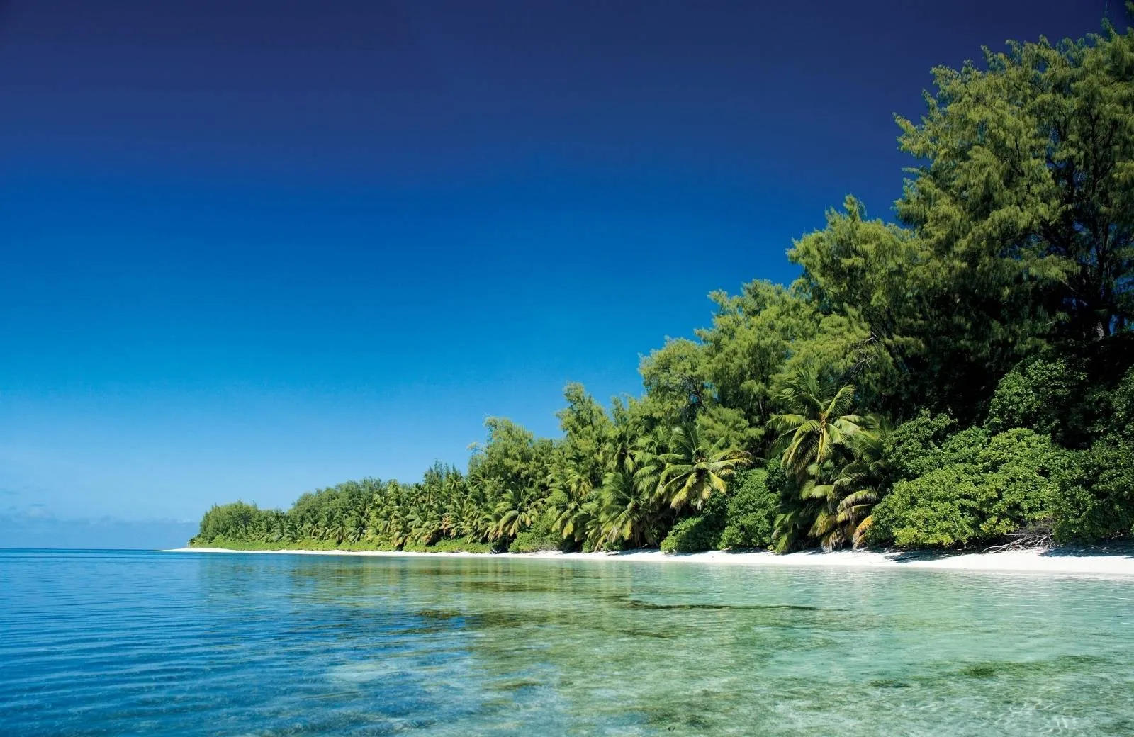 Four Seasons Resort Seychelles at Desroches Island 5*