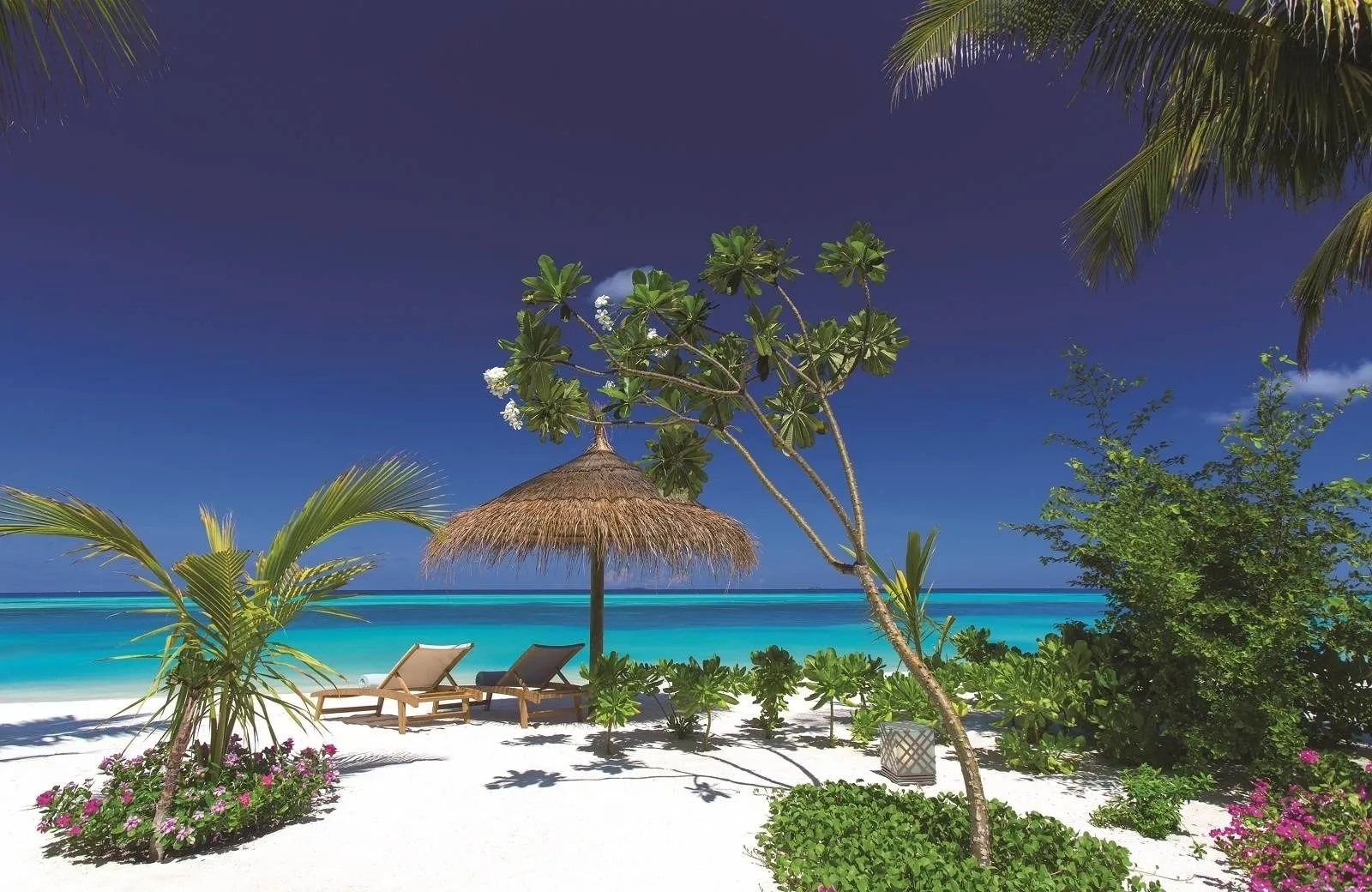 OZEN Life Maadhoo 5*