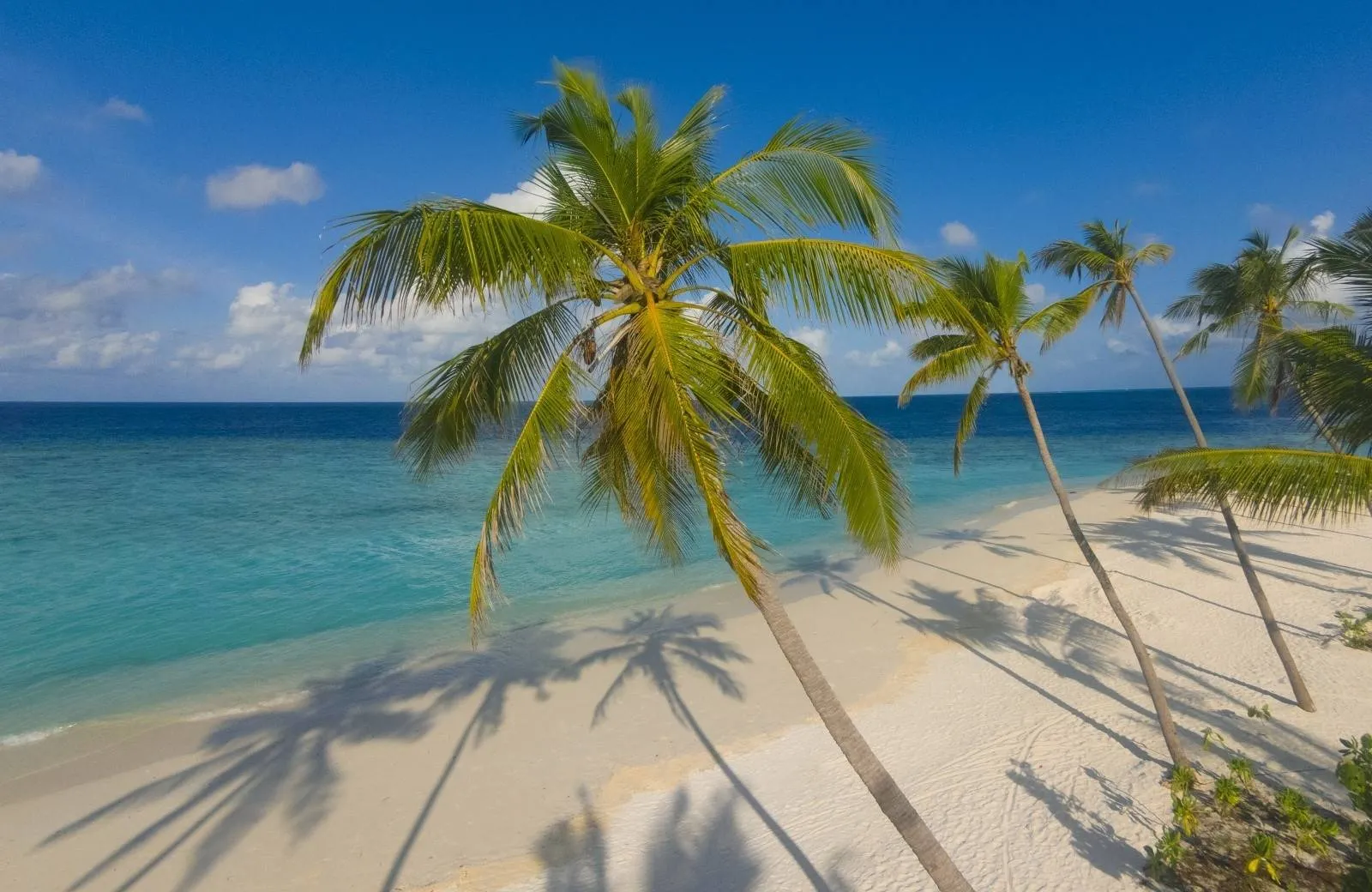 Milaidhoo Island Maldives 5*