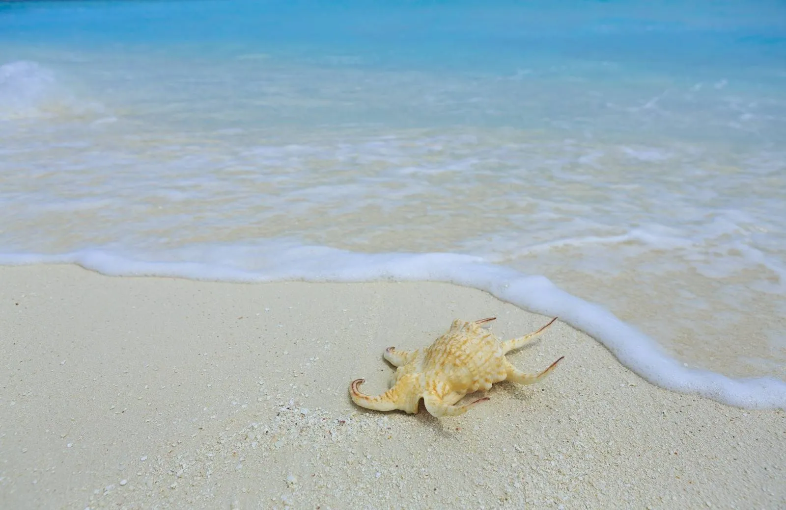 Milaidhoo Island Maldives 5*