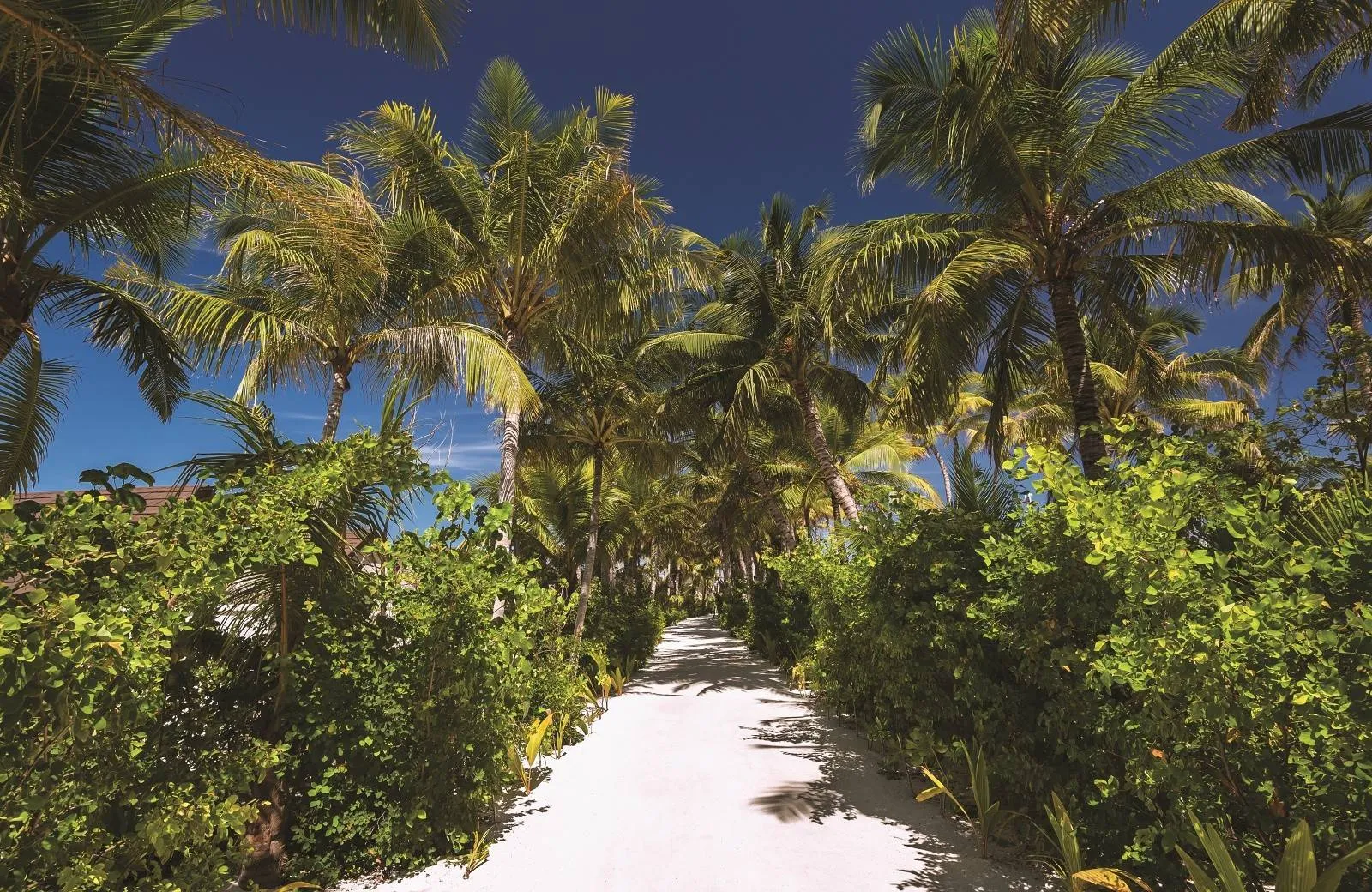 OBLU SELECT Sangeli 5*