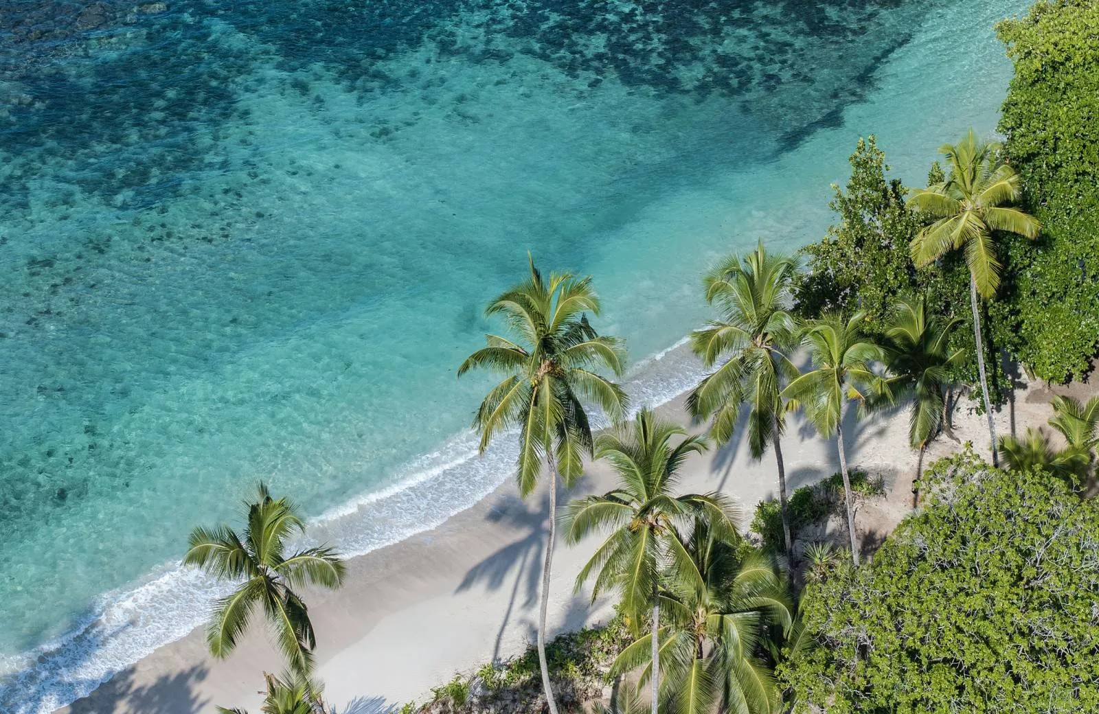 Avani+ Barbarons Seychelles 4*