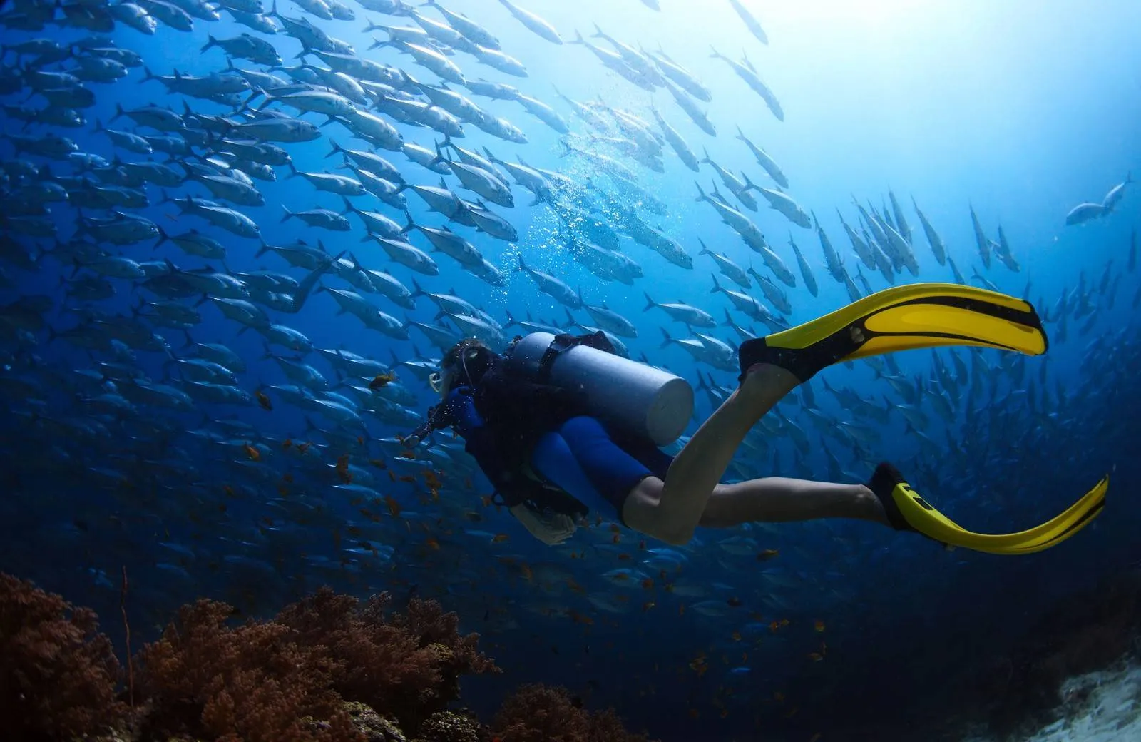 Furaveri Island Resort & Spa 5*