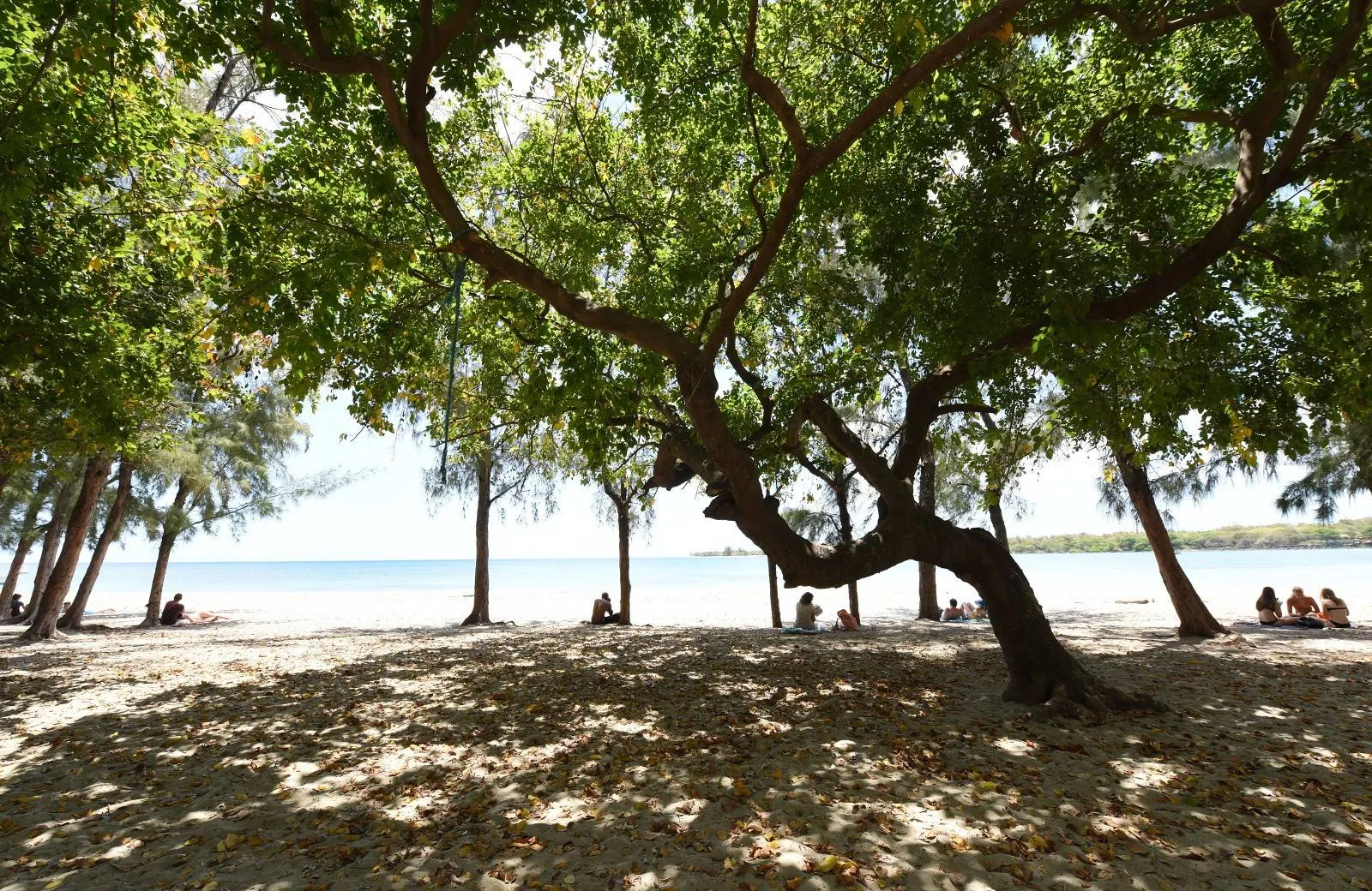 Veranda Tamarin Hotel 3*