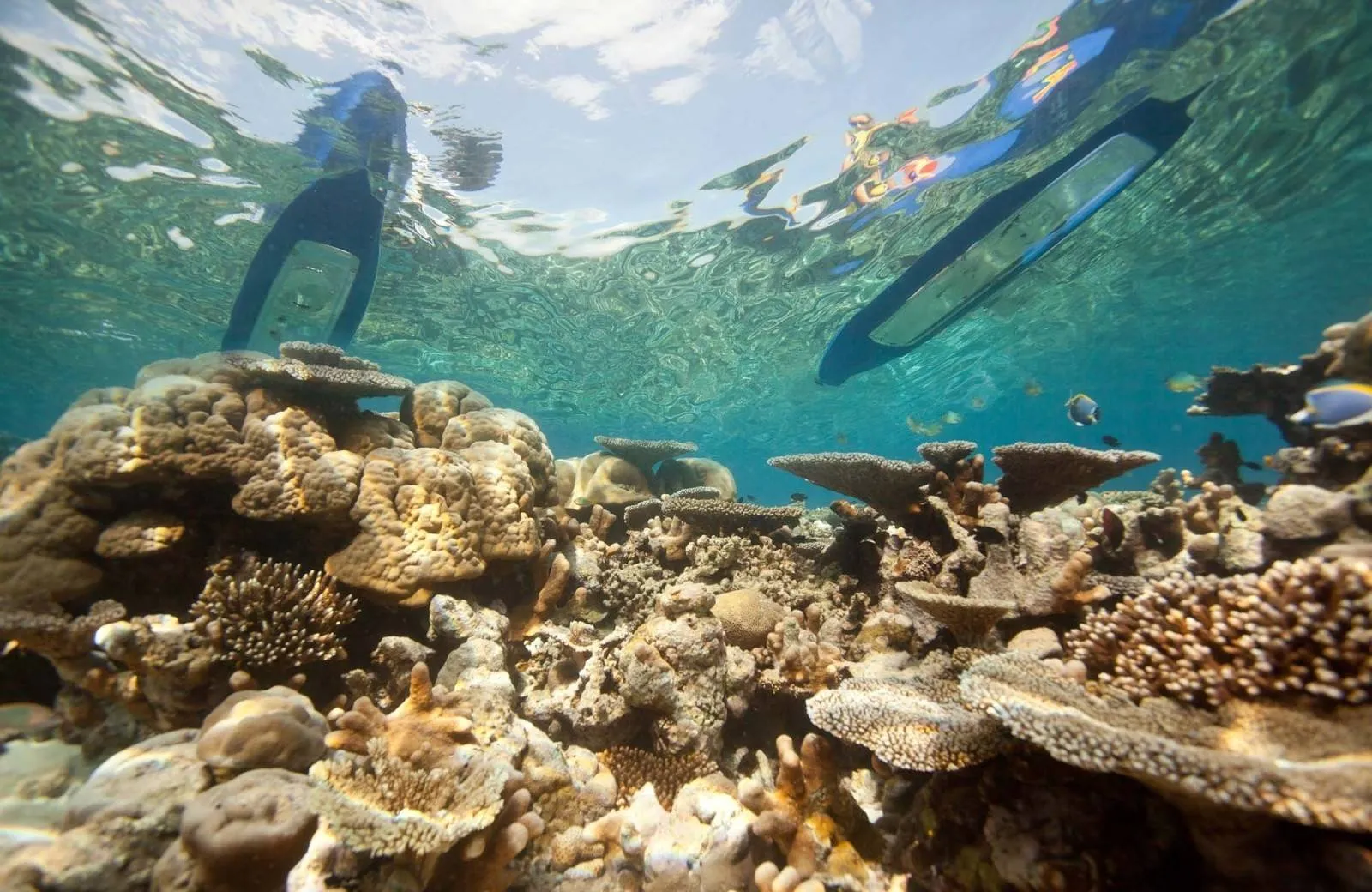 Sun Siyam Iru Fushi 5*