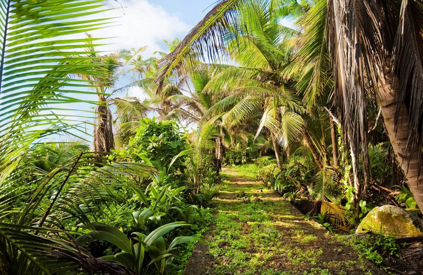 Hilton Seychelles Labriz Resort & Spa 5*