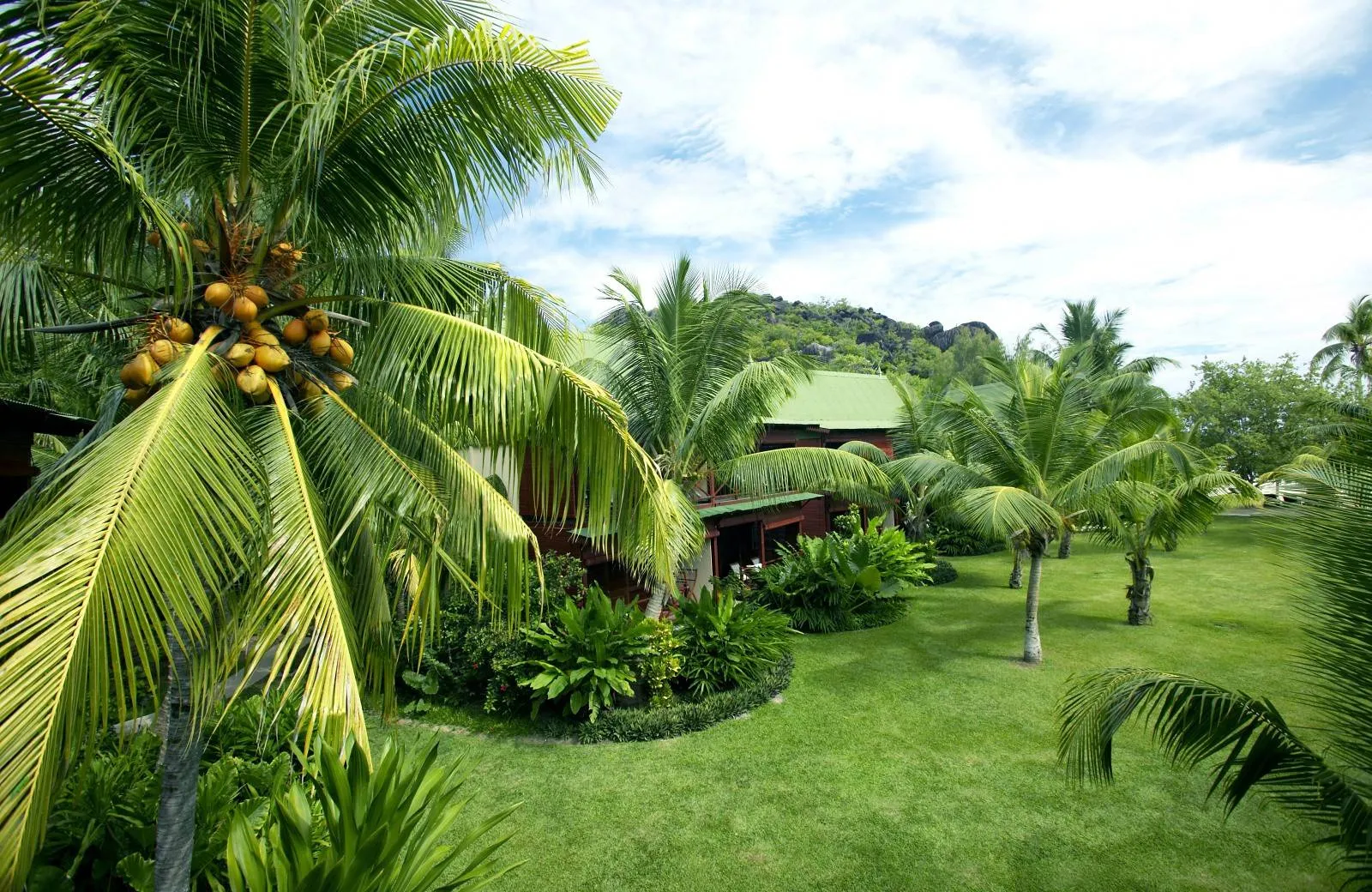 Paradise Sun Hotel 4*