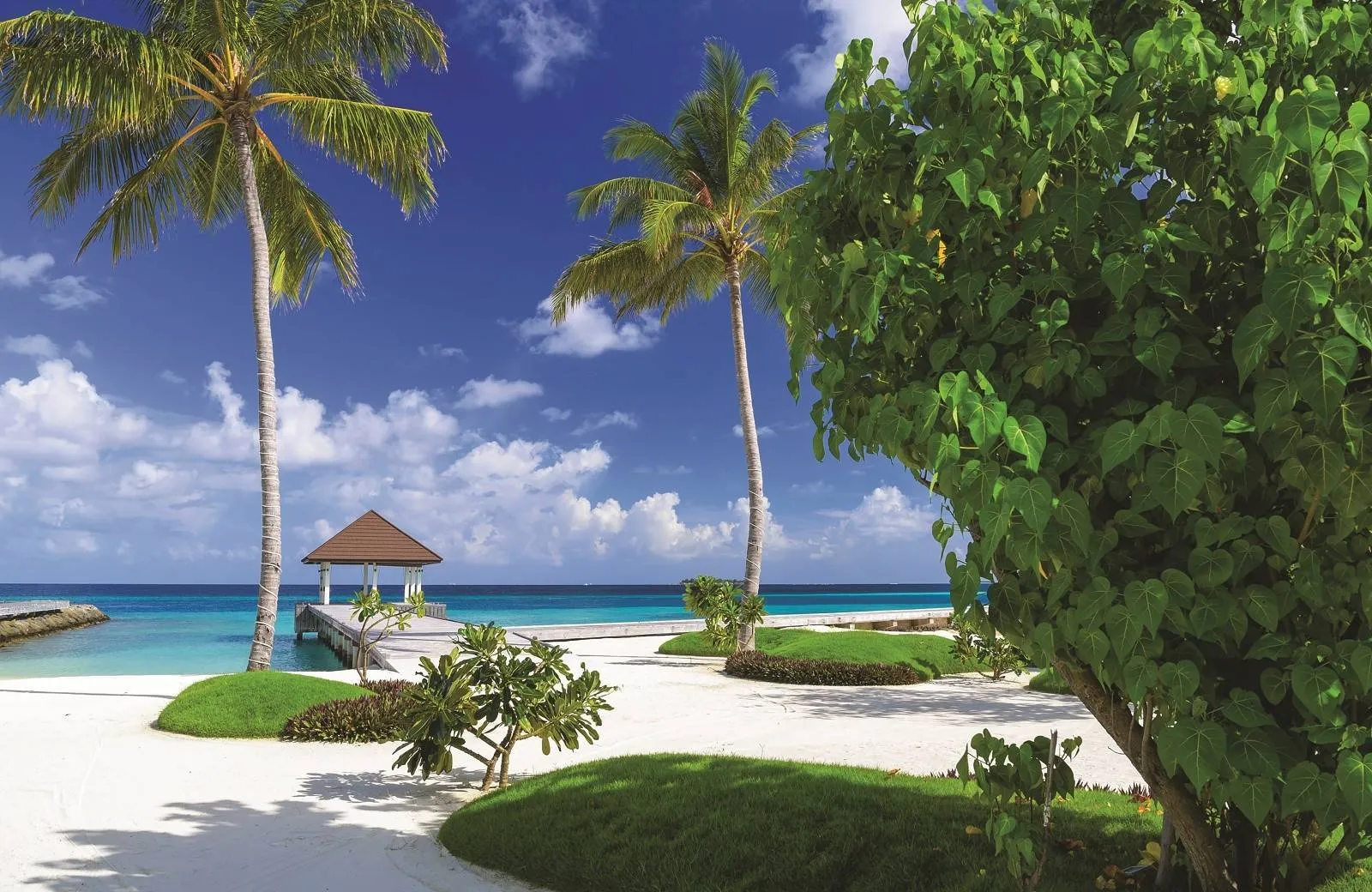 VARU by Atmosphere 5*